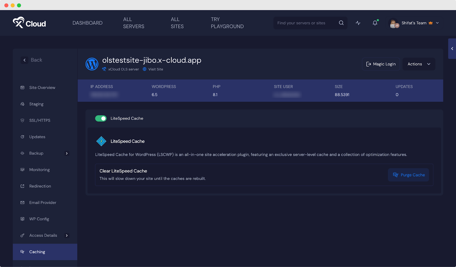 The 2024 LiteSpeed Cache toggle and Purge Cache button on an OLS site in xCloud