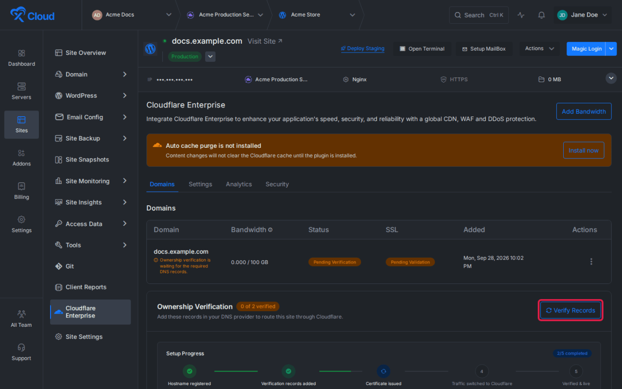 Verifying the Cloudflare Enterprise DNS records.