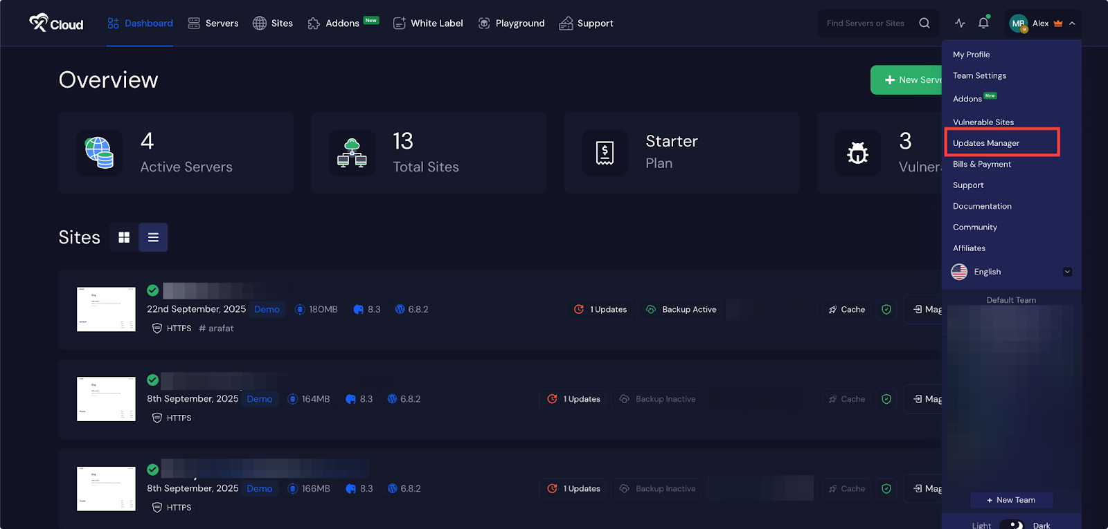 Update Plugins, Themes, and WordPress Core